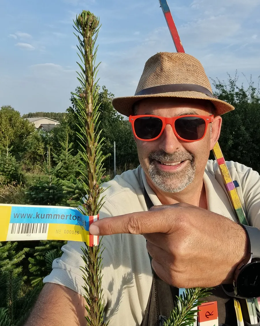 Christbaum mit der Kummer-Toni-Etikette