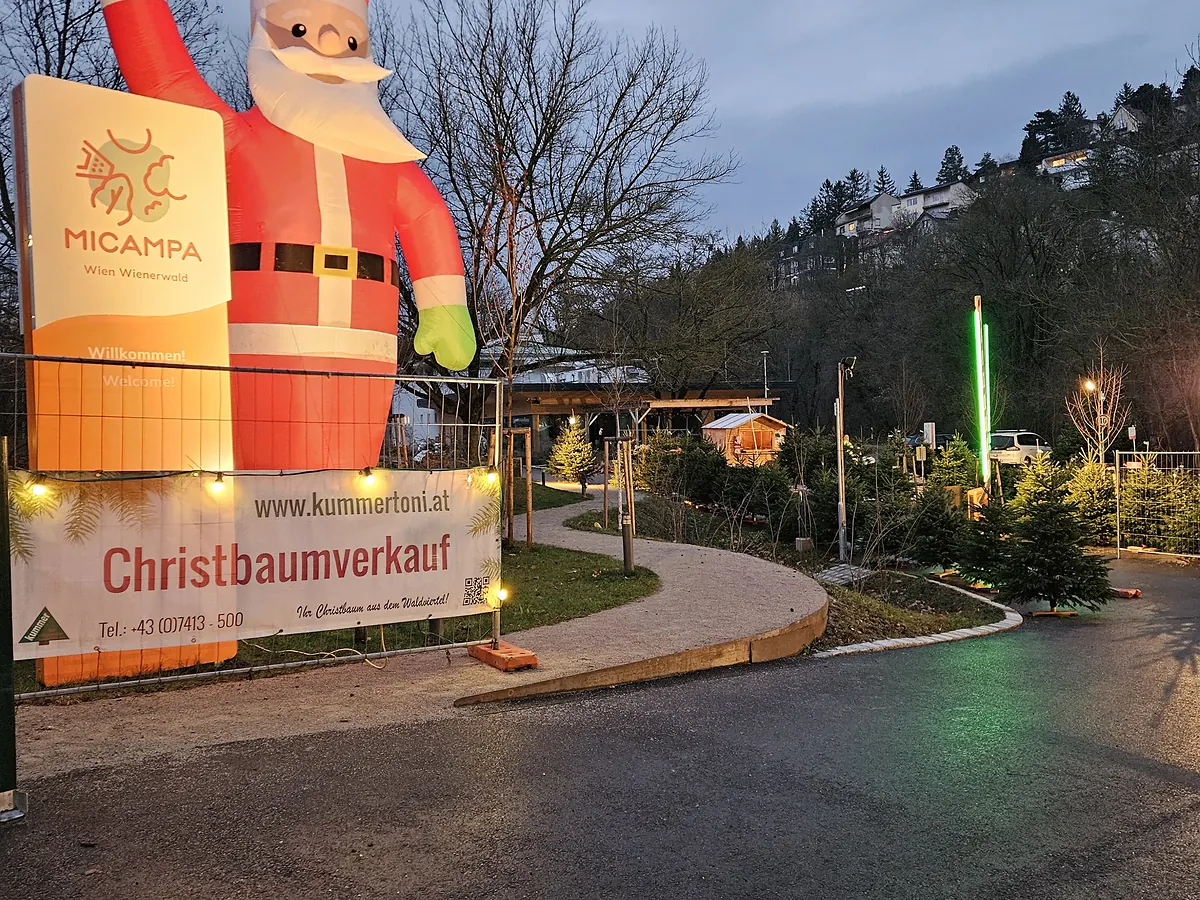 Beleuchtetes Transparent „Christbaumverkauf“ am Verkaufsplatz